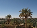 Oasi di Siwa_06